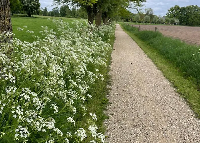 Lägenhet Het Spoorwiel - Daar Bij Kempermolen Breedenbroek