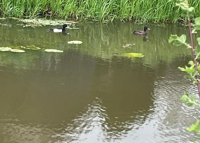 Het Spoorwiel - Daar Bij Kempermolen
