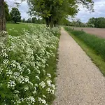 公寓 Het Spoorwiel - Daar Bij Kempermolen Breedenbroek