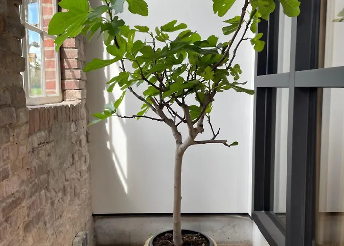 Het Spoorwiel - Daar Bij Kempermolen * Breedenbroek