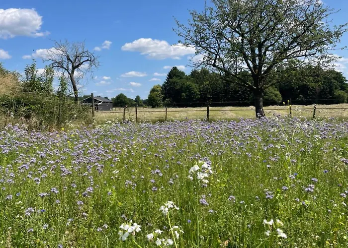 Het Spoorwiel - Daar Bij Kempermolen Апартаменты *